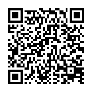 杨晨是绝对不会留下一个差点取走自己性命的生物活着二维码生成