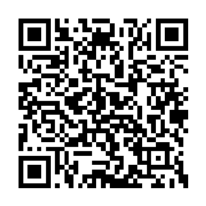 杨晨现在在古清一脉的弟子中可是十分的不满的二维码生成