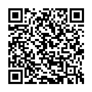 杨晨还以为他们是在谋划什么大型的营销计划呢二维码生成