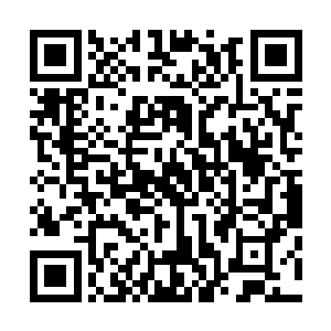 杨晨还没来得及仔细体会这灵力的运转路线究竟是怎么回事二维码生成