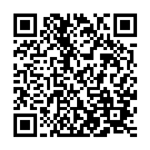 杨晨顾不上痛斥这两货一点没有担当的把自己丢出来吸引炮火二维码生成