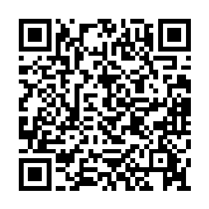 杨洛的话再次让刘天鹏和韦明宏他们打了个冷战二维码生成