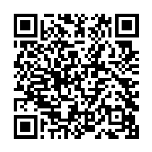 杨辰也不想管大肆运用天地衍生之力会不会引来天劫二维码生成