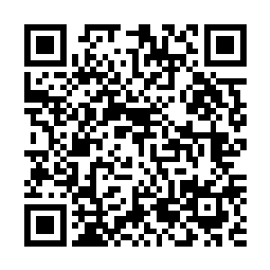 杨辰体内的往念衍生经先天真气自然形成了一堵无形的护罩二维码生成