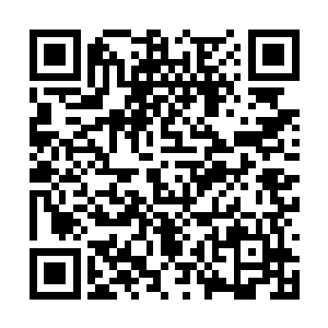 杨辰已经无暇过多思考李菁菁这一刻到底在想什么二维码生成