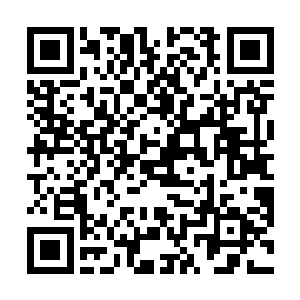 杨辰当然没理由拒绝连撒谎都不会的女孩子的小小请求二维码生成