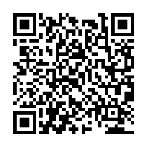 杨达金给陆为民推荐的段厚柏算是一个不错的角色二维码生成