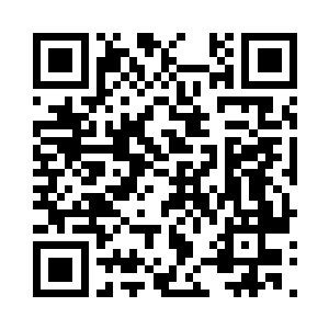 杨锐回忆着自己看过的与会专家的宣传册子二维码生成