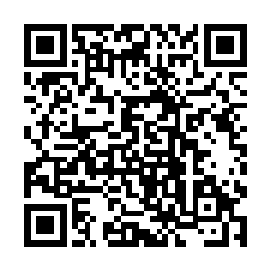 杨锐整日都在会议厅里疯狂的分发和介绍自己的研究二维码生成