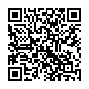 杨风同意无论付出任何代价都要帮浑天塔找到两株神药二维码生成