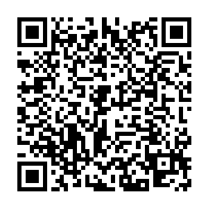 杨风整整在地心神焰行走了三天的时间都没有发现地心神焰的本源二维码生成