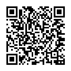 杰西卡不知道何时把张东城房里的顶级红酒给拿出来了二维码生成