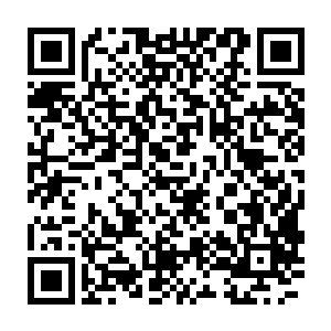 松树倒下的动静把附近的三个背着背篓和提着篮子的女生给吸引了过来二维码生成