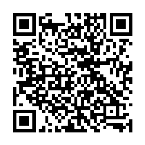 极端可怕的杀伐力量和萧焚的火焰巨剑猛烈的对碰二维码生成