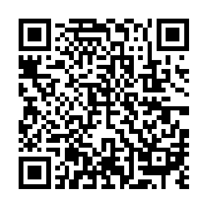 林东和洪奇开车把一行十人送到吴梦溪指定的一处海边渔港二维码生成