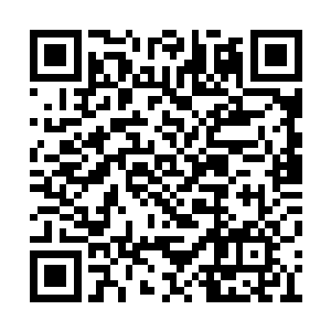 林凡并不打算把这会长交给梅仁宽亦或是高向文二维码生成