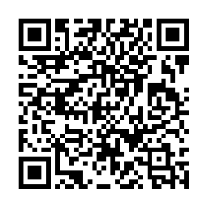 林可儿和我分别时说出口的话再次回响在我的耳边二维码生成