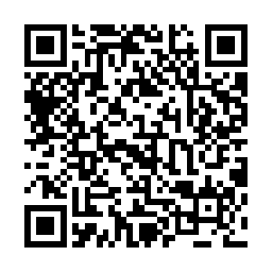 林封谨也是成功的交出了一个让武亲王钱震乐于见到的答案二维码生成