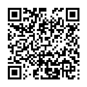 林封谨他们差不多都将已经冒头的弓箭手剿杀得干干净净二维码生成