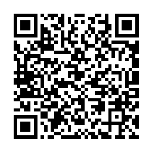 林封谨他们的目标当然不可能将窝津神的整个尸体都弄回去二维码生成