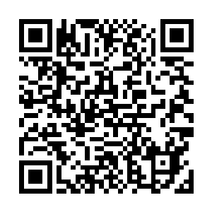 林封谨拿过了从恶鬼降巢穴里面取来的那几根水草闻了闻二维码生成