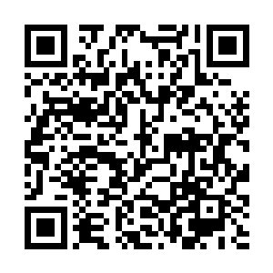 林封谨甚至是生出来了老鼠拉龟无处下口一般的感觉二维码生成