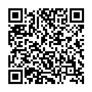 林小乖决定下厨的时候她是拦不住也拦得不太真心的二维码生成