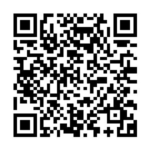 林思雨谭笑笑和程浩宇虽然很想要跟着李思辰一块儿进动物园二维码生成