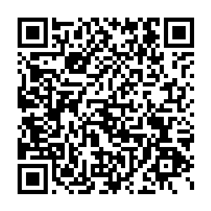 林欣怡体内的尸兄基因依然存在--但愿自己的这一次冒险是正确的二维码生成