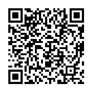 林毅身影在这一刻如同恐怖的猎豹一般冲向了叶尊的位置二维码生成