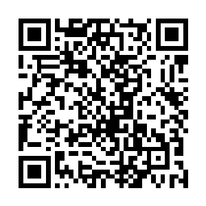 林烽可没有那么好心去收纳鼠族成为他这个世界的一部分二维码生成