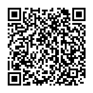 林烽已经拿出了他现在所能够拿出来的所有的力量用来对付眼前的人二维码生成