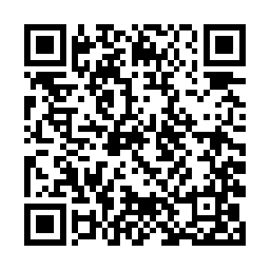 林烽师父……你不愧是我史密斯刘一心要拜的师父啊二维码生成