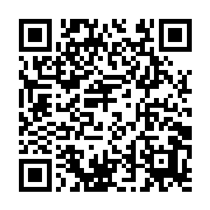 林烽感受到神识之中似乎有无数的牛毛针在扎着他二维码生成