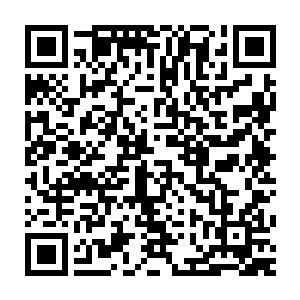 林烽昨日所见的那名老妪便带着白衣飘飘的洛子衿从大殿门口走了进来二维码生成