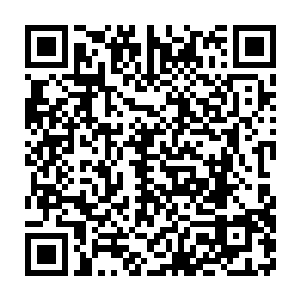 林烽现在就等于是在快速填鸭式地吸收朱耷的这些写诗作画的本领二维码生成