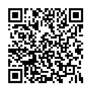 林烽的灵识在这整个白羽门的洞府里面稍微一扫二维码生成