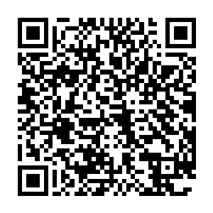 林烽竟然只指着一个形似小乌龟的图案说这是一款独特的画押落款二维码生成