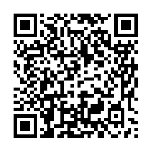 林烽面对两柄金丹期修士的极品飞剑是一脸淡定的表情二维码生成