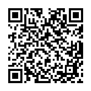 林辰倒是有些讶异的看了一眼向着星门建筑步行而去的青年二维码生成