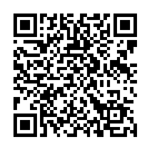 林辰感觉自己这样形容面前的小正太实在是有些过于夸张了二维码生成