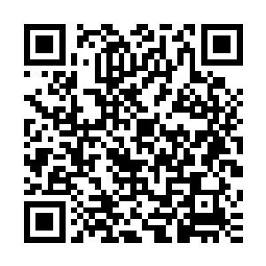 林辰还是决定暂时将这银白长剑就这么悬浮于主殿中央的位置二维码生成