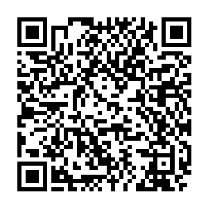 林铭不时地便能看到一些大型凶兽在茂密的森林中挤着树枝藤条爬过去二维码生成