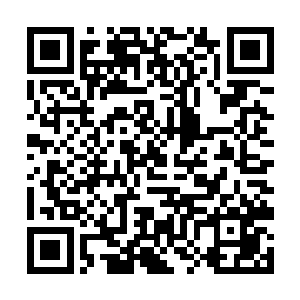 林铭以强大的震动之力震开了盘绕在暗龙枪上的软剑二维码生成