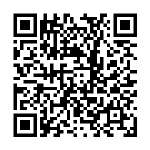 林锐和叶莲娜在约定的地点遇到了维塔克派来的人二维码生成