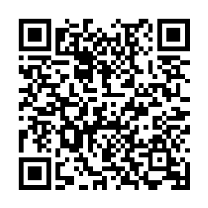 林锐面无表情地用手里的刀划开了强尼罗顿的衣袖二维码生成