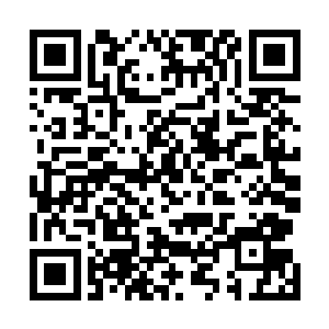 果断的扬起温和的笑容朝着夜染和袭灭月所在的位置走去二维码生成