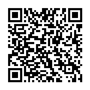 果然……还是不要了吧……毕竟我和它不是同类型的ai二维码生成