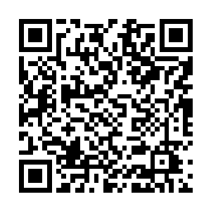 果然在众人身后的坐榻上看见三个老神在在的书法大家二维码生成