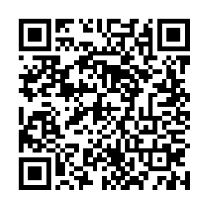 果然夜染此时已经将全部的精力都放在了北辰泠的身上二维码生成